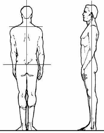 spinal touch